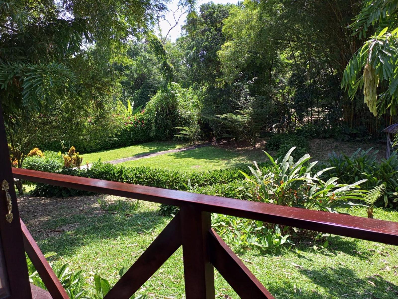 Terra Luna Lodge Tena Zewnętrze zdjęcie