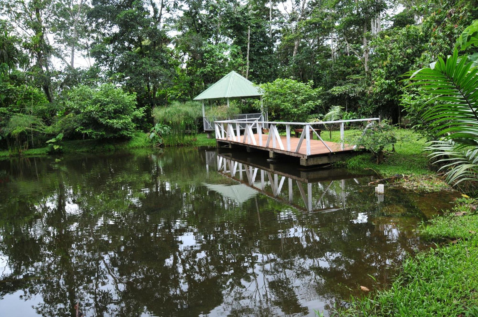 Terra Luna Lodge Tena Zewnętrze zdjęcie